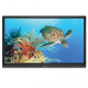 Boxlight 864U 86 inch ProColor 4K Interactive Flat Panel Display