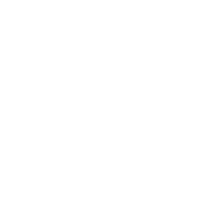Smart Phone
